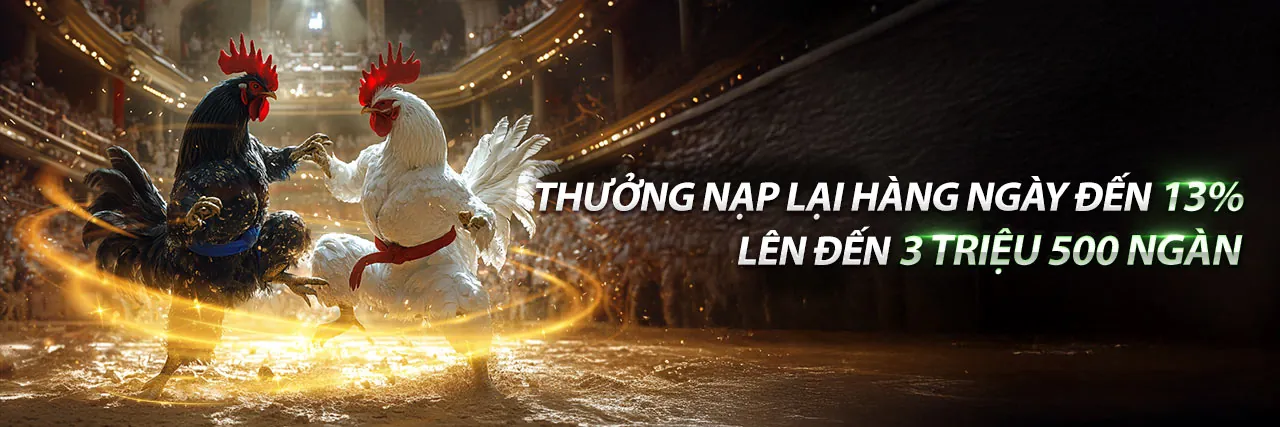 Đá Gà Trực Tuyến MV88 APK - Những trận đấu đỉnh cao